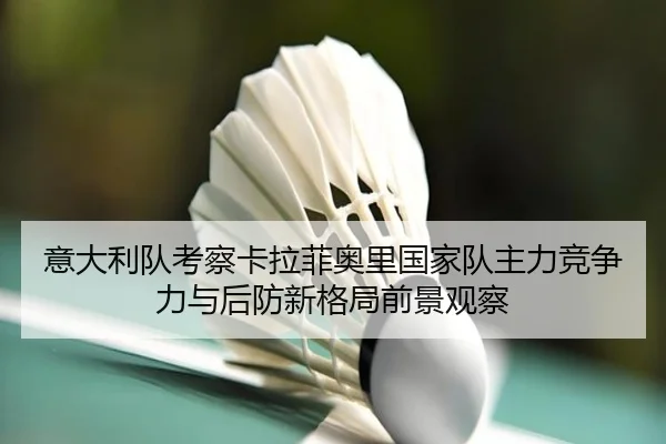 yi-da-li-dui-kao-cha-ka-la-fei-ao-li-guo-jia-dui-zhu-li-jing-zheng-li-yu-hou-fang-xin-ge-ju-qian-jing-guan-cha-3-349.jpg